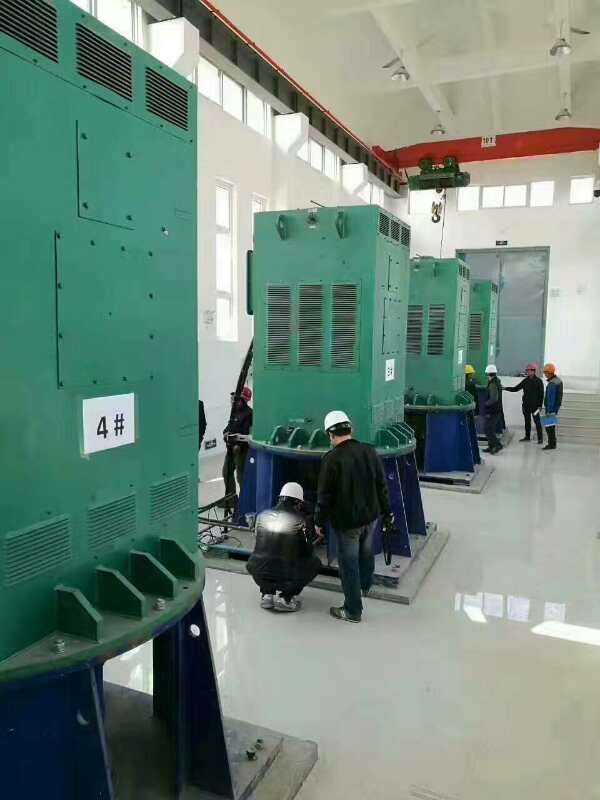 Y5601-12某污水处理厂使用我厂的立式高压电机安装现场报价