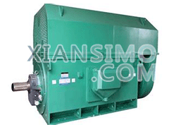Y5601-12YXKK(2极)高效高压电机技术参数